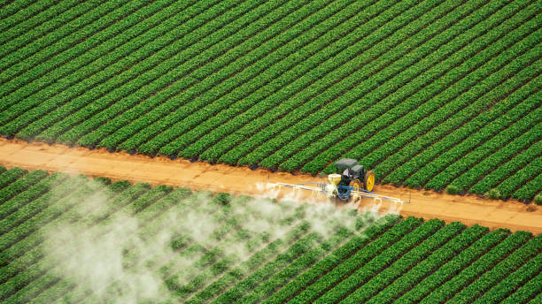 Best Mosquito Control Services  in West Dundee, IL